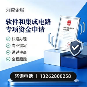 宣城软件和集成电路专项资金申报服务