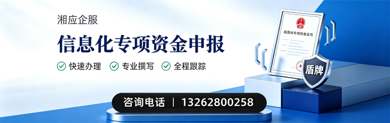 宣城信息化专项资金申报服务