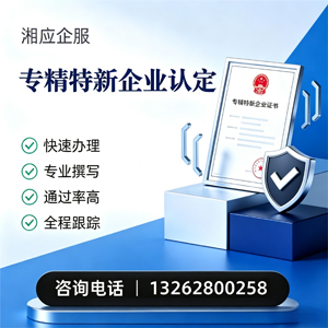 宣城专精特新企业申报服务