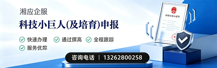 宣城科技小巨人及培育企业申报服务