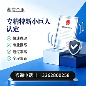 宣城专精特新小巨人申报服务
