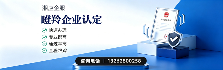 宣城瞪羚企业认定申报服务
