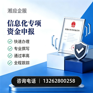 宣城信息化专项资金申报服务