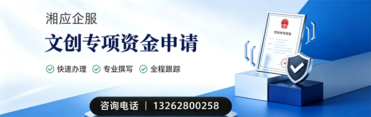 宣城文创专项资金申报服务