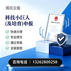 宣城科技小巨人及培育企业申报服务
