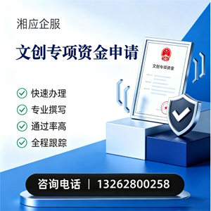 宣城文创专项资金申报服务