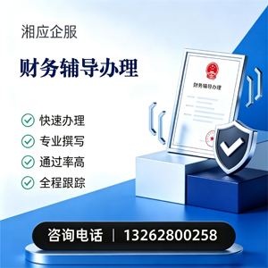 宣城财务辅导申请服务