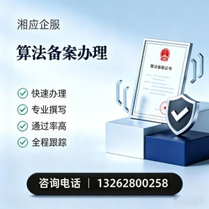 宣城算法备案申报服务