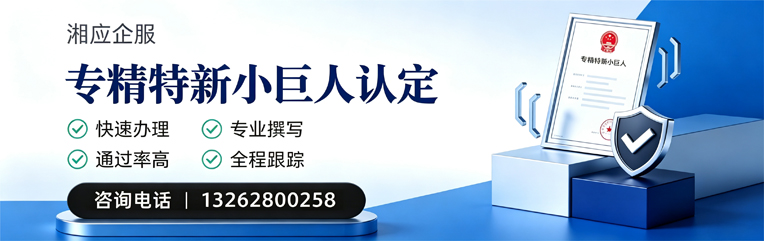 宣城专精特新小巨人申报服务